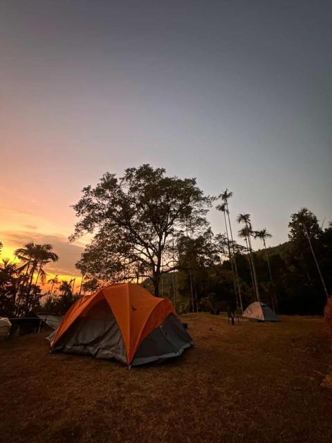 Coorg Camping JungleDrift