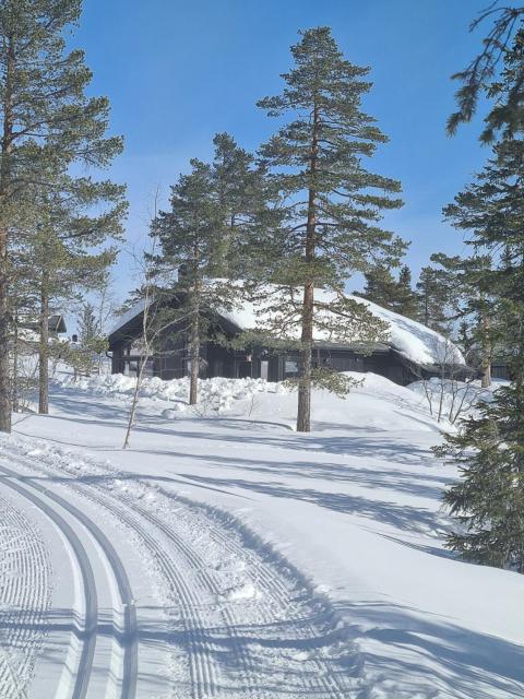 Cabin With Sauna At Norefjell