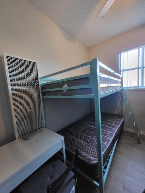 Sunny LA Bunk Bed