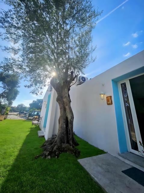 Il Giardino delle Fate