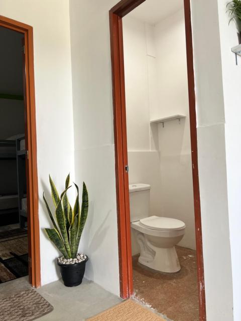 Matropica CoWorking Hostel