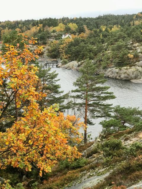 Unique Cabin By The Water On Kråkerøy