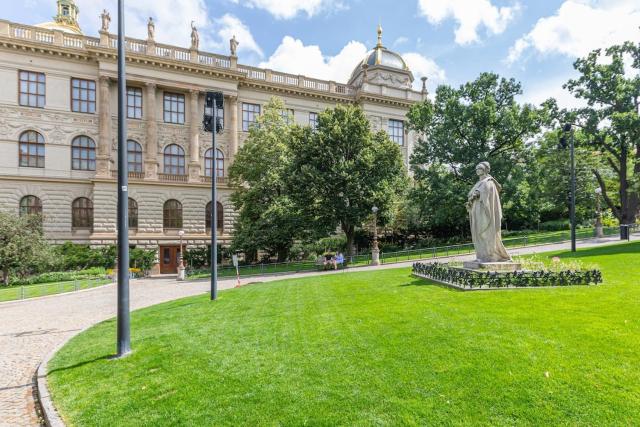 Newly renovated apartment next to the National Museum