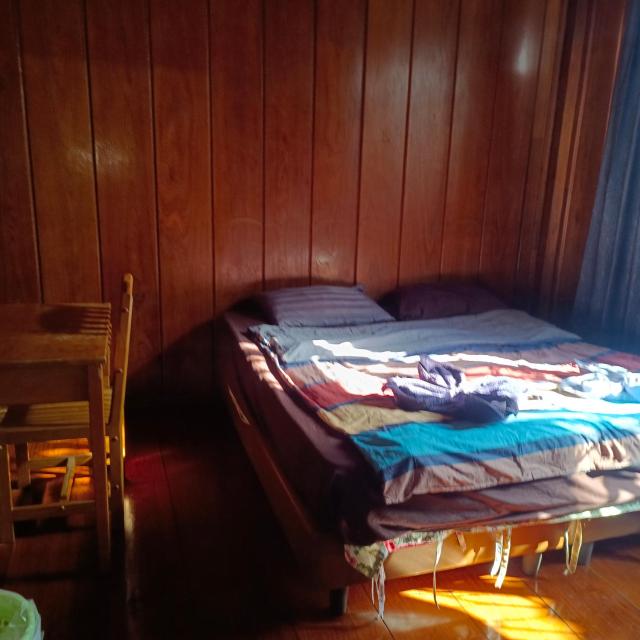 Sunny house hostel