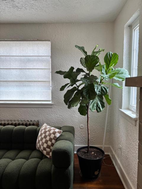 Pittsburgh Getaway - Private Home- 2 Beds