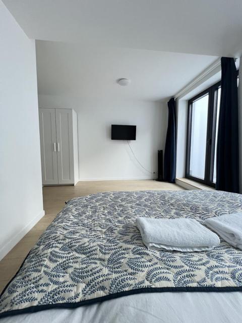 Modern & Elegant Apartment near Montgomery