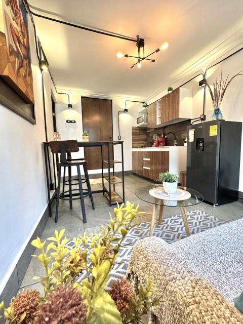 Large, bright apartment 1