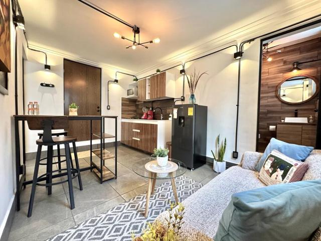 Large, bright apartment 1
