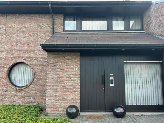 Steves Place Haasdonk
