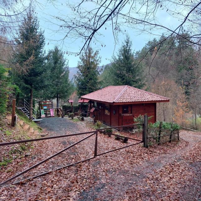KALMul naturii, iureșul pădurii