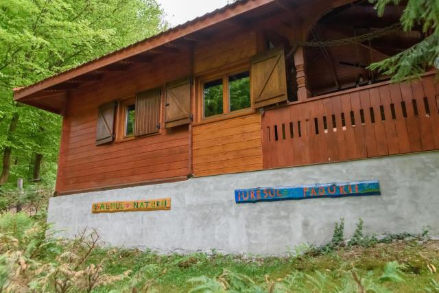 KALMul naturii, iureșul pădurii