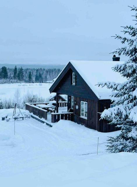 Family Cabin With Ski Inout At Furutangen