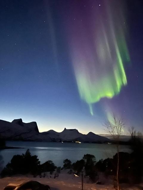 Efjord and Stetind Resort - Cabin Stetind