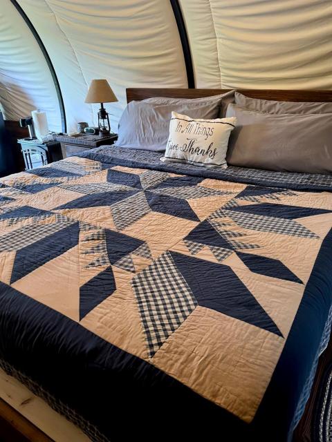 Luxury Covered Wagon, Rooterville Animal Sanctuary