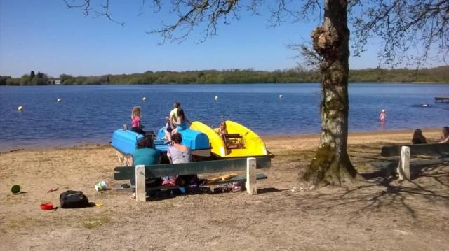 ZEcamping 3 étoiles pet friendly avec sauna bar et restaurant