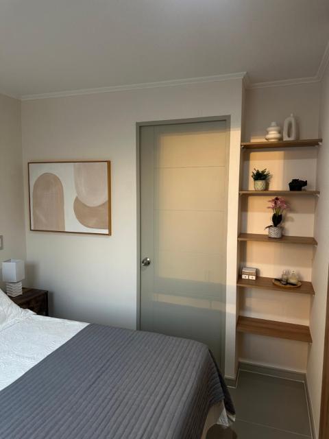 Departamento acogedor en Centro de Santiago