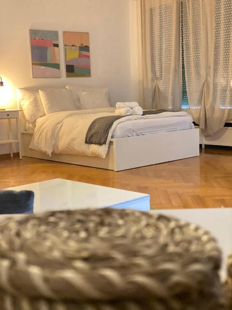 Bright & Fully Furnished Flat in Lausanne