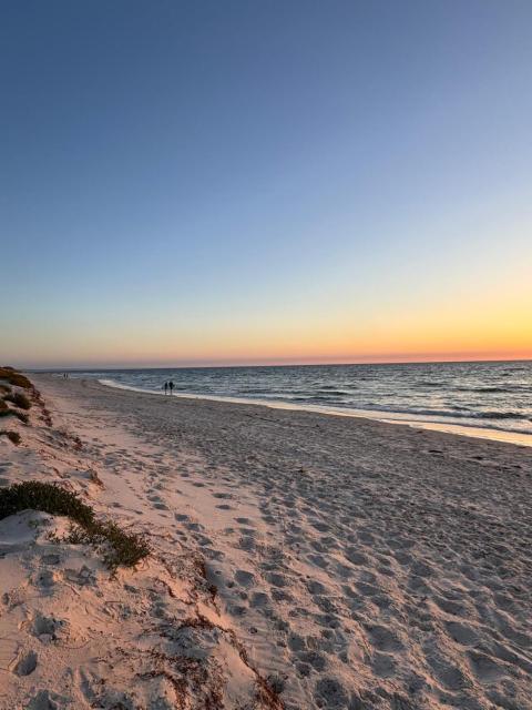 The Seaview at Semaphore Park