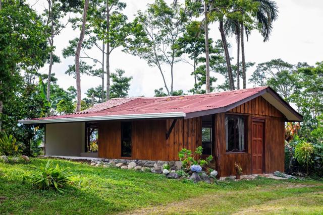 Casa Cúrcuma