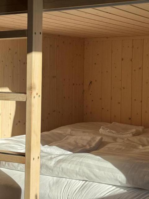 The Fox Hostel