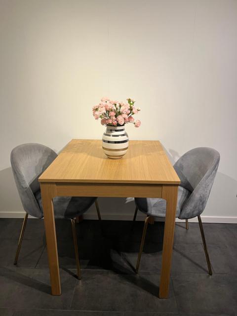 Newly renovated apartment close to city center