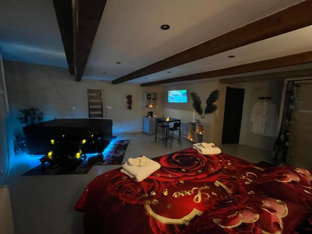 Le Cocon SPA Évasion Privée - jacuzzi -
