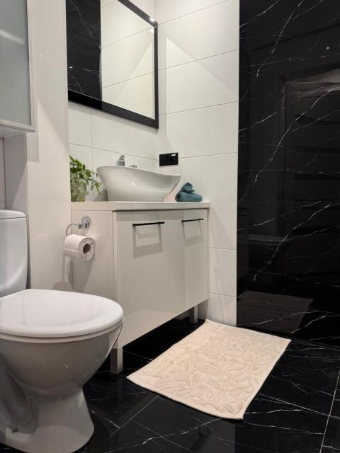 M1 Luxury Apartment near Manufaktura
