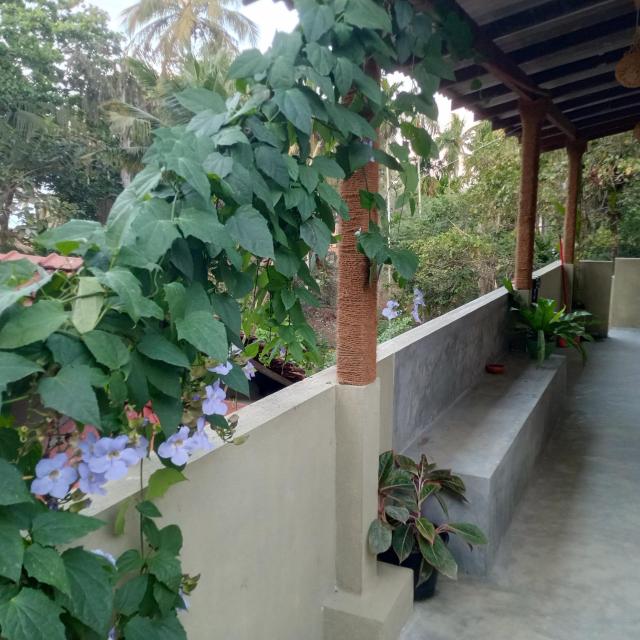 Hiriketiya Mahi Surf