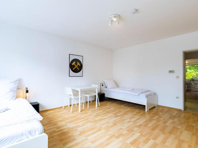 BudgetRoom 3 SZ Balkonwohnung für Teams