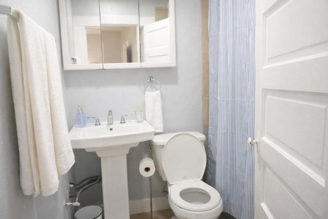 Beautiful 1 Bdrm • Historical • Downtown