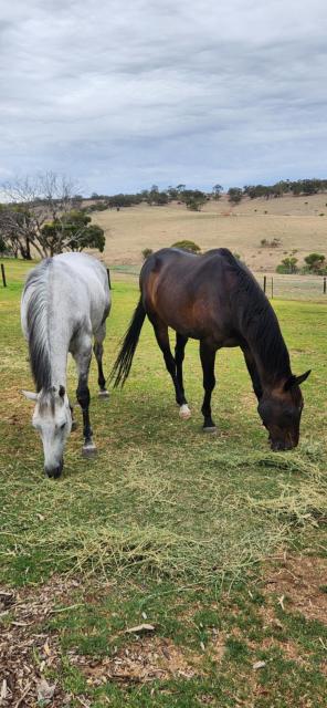 Equestrian Farm Stay