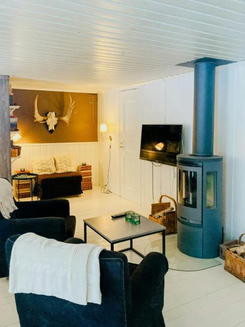 Spacious Mountain Cabin Among Birches In Vemdalen