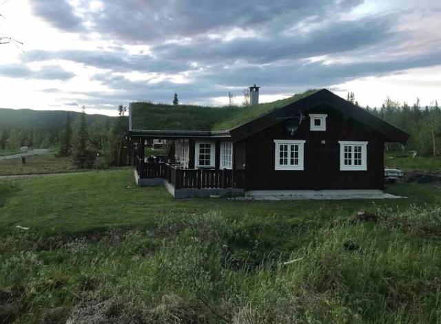 Mountain Cabin With Cinema Near Synnfjellporten