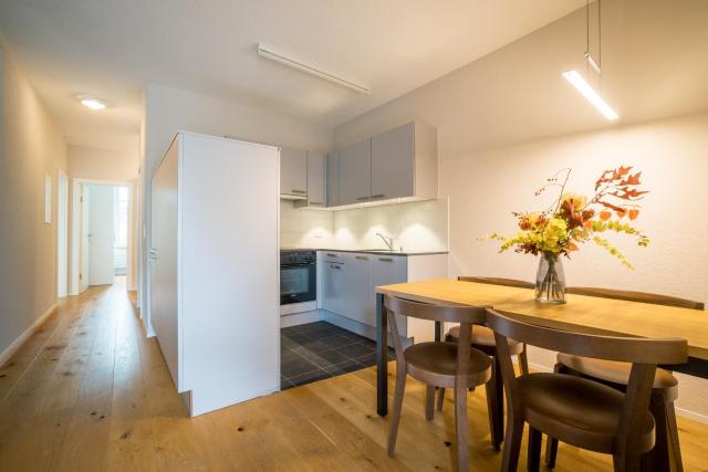 Apartment Harderstrasse