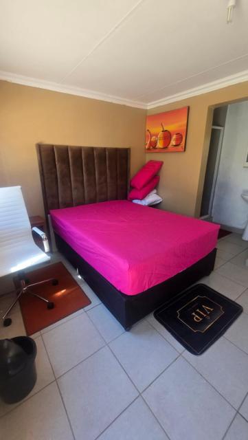 6 Tiger guest house