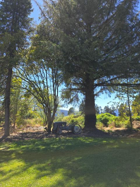 Hokitika Gorge Farm Stay