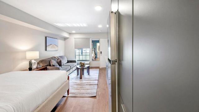 Landing Incredible Studio in Downtown Hermitage