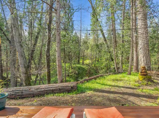 The Little House in the Big Woods- a quiet 2 bedroom, 1 bathroom creek side cottage