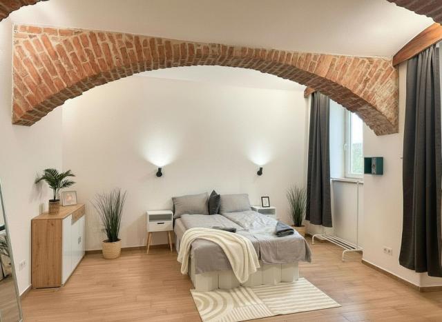 Cozy & Spacious Brick Basement Cityloft - 3 Beds for 4 Persons, Smart Projector - Central Location - 20 min to City Center