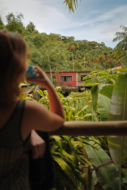 Eco Hostel Organic Life