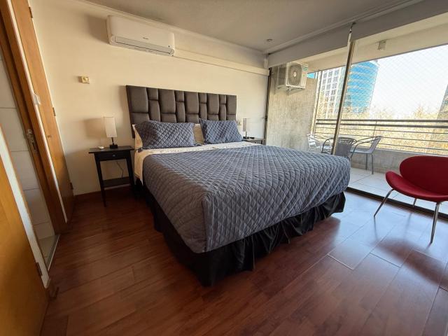 Acogedor departamento en providencia
