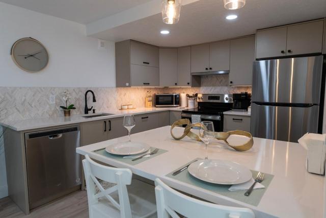 Brand New Luxury Basement Apt