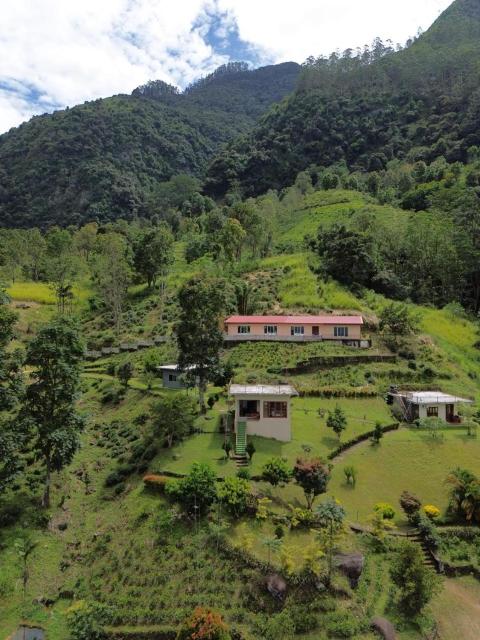 Greenfield Eco Resort and Farm