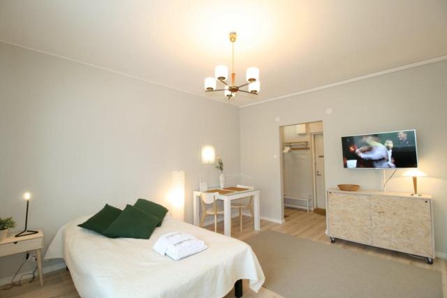 Borg Kiertokatu, Spacious Studio Apt, Free Parking