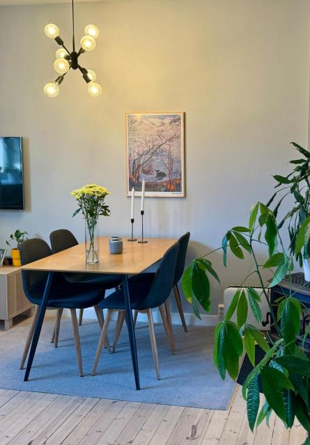 Peaceful Spot in the City Centre - Light and Cozy Apartment