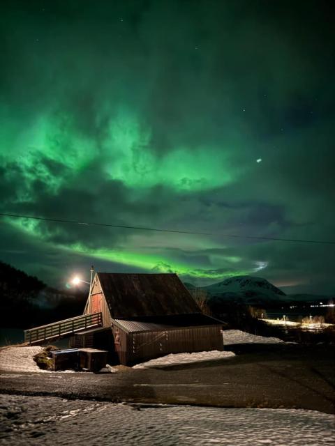 Big cabin in Lyngen Fjords