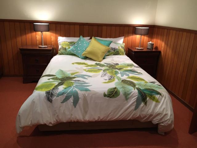 Kentia Palms