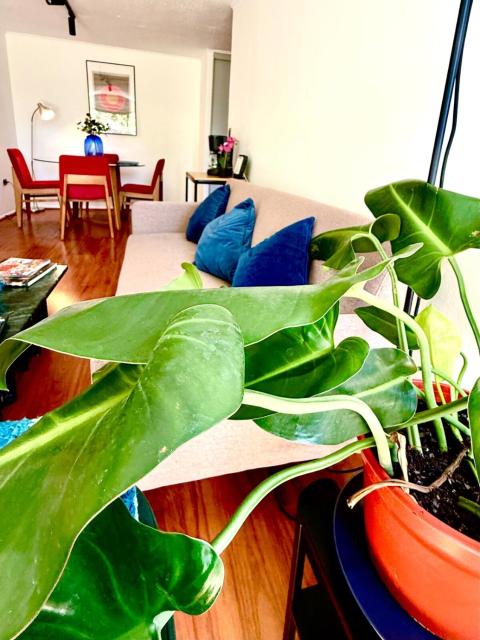Bright apartment in the heart of Santiago