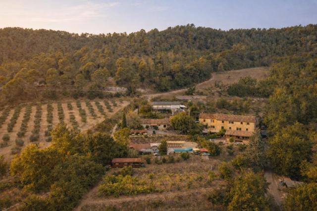 Domaine Lou Amì