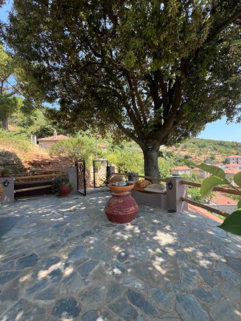 Alta Vista Guest House